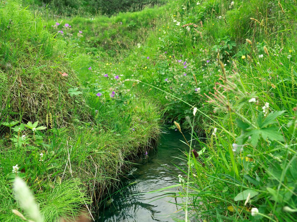 Hrifunes Nature Park Εξωτερικό φωτογραφία